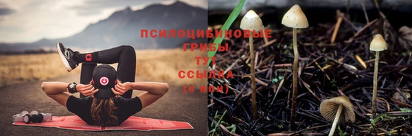 соль курить ск Белоозёрский
