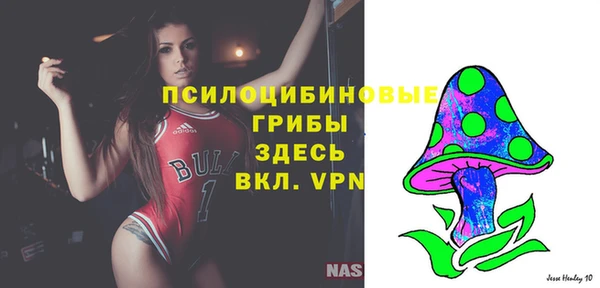 наркотики Богданович
