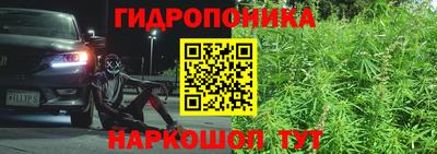 крисы Балашиха